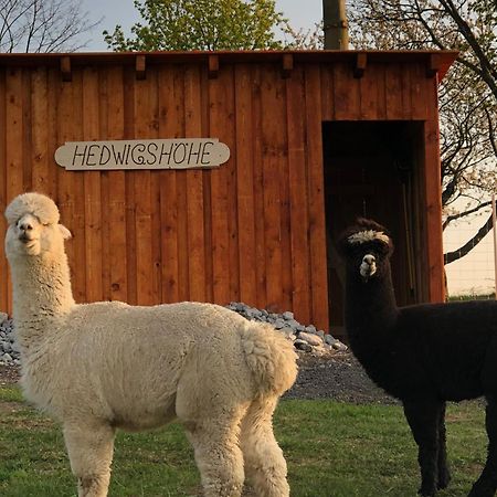 Urlaub Auf Dem Bauernhof Hedwigshoehe Хонштайн Экстерьер фото
